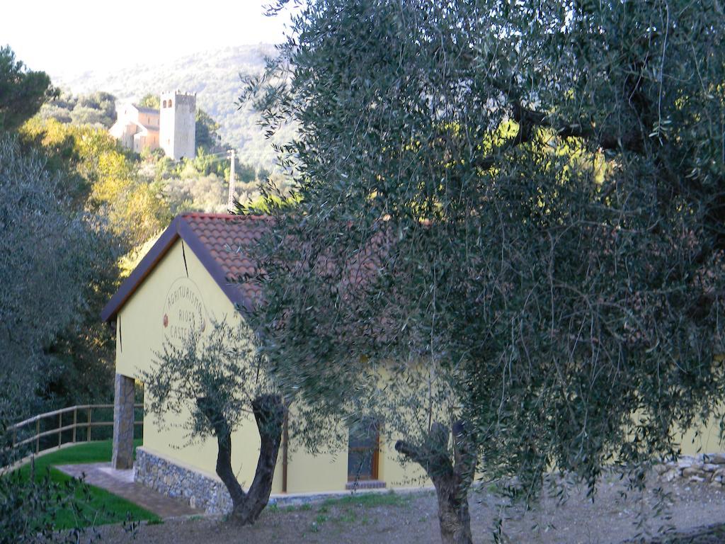 Agriturismo Rio Castello Marina dʼMarina dʼAndora 外观 照片